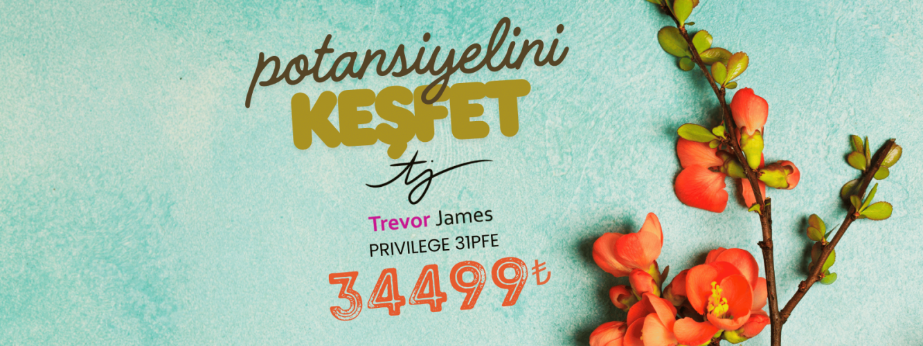 Trevor James Privilege Yan Flüt